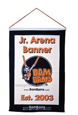 Junior Arena Banner (Economy)