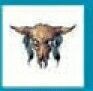 Stock Temporary Tattoo - Cow Skull (1.5