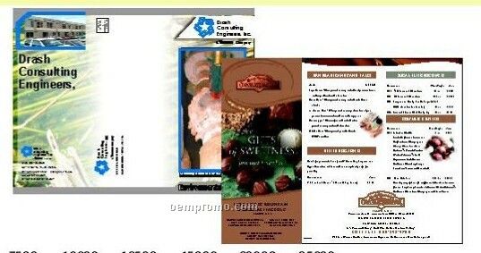 8-1/2"X11" Brochures Gloss Cover (4 Color Front)