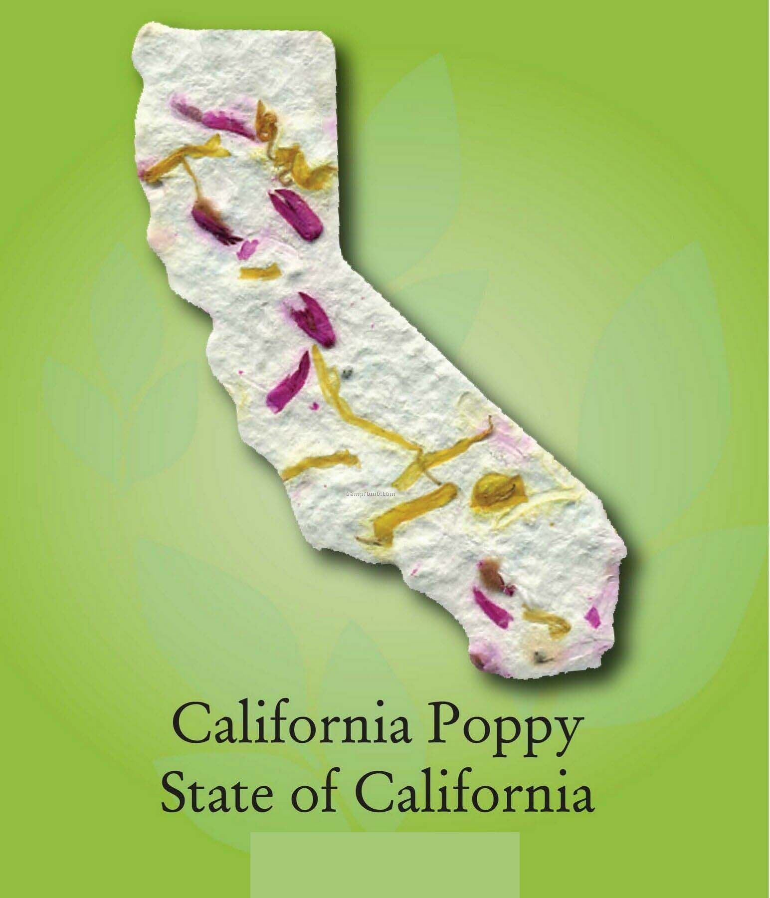 California Poppy State Of California Ornament With Embedded Seed