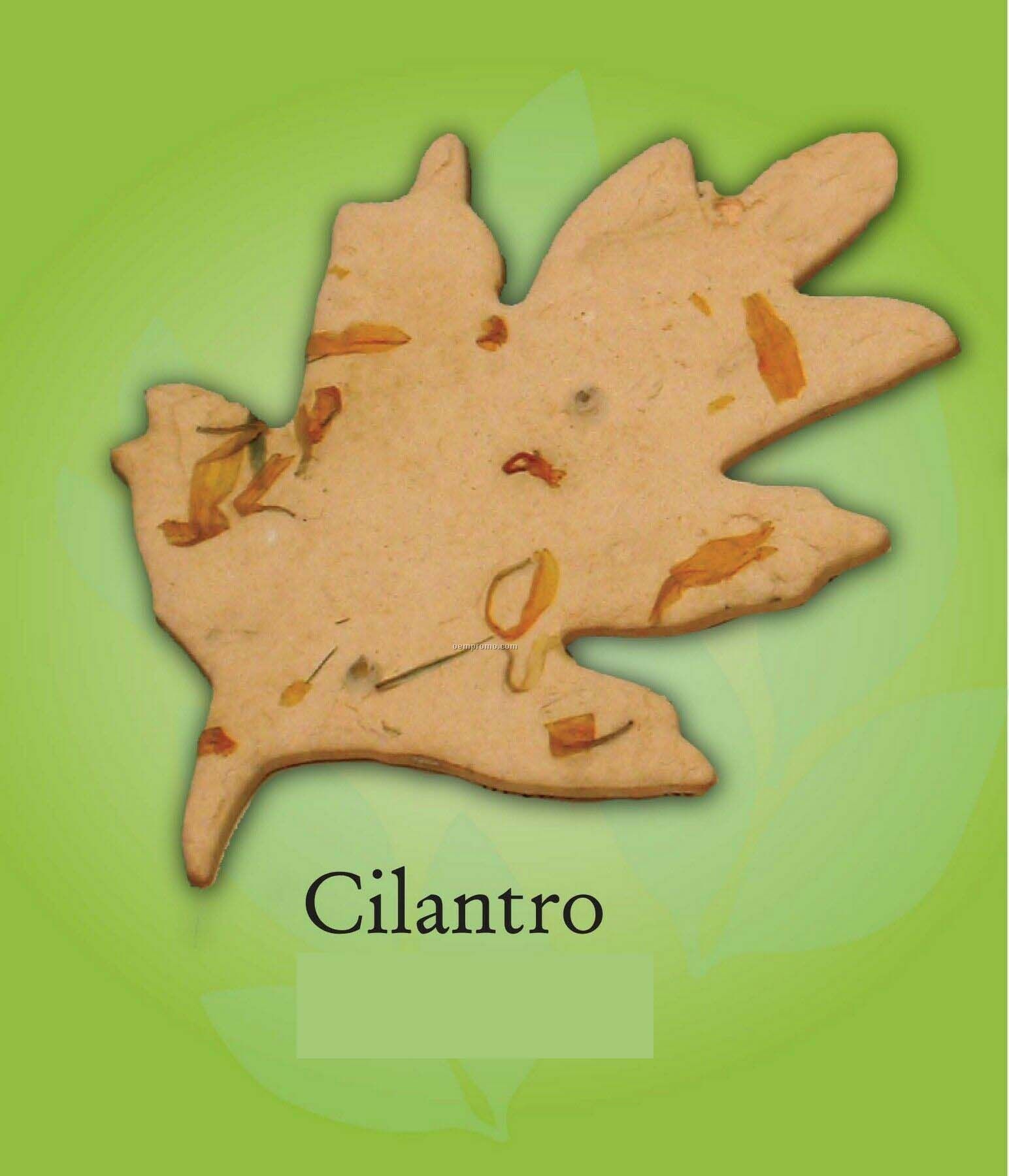 Organic Cilantro Leaf Ornament With Embedded Seed
