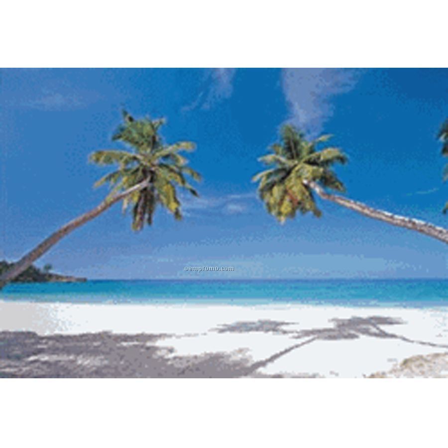 3d Lenticular Postcard Stock ( Palm Trees)