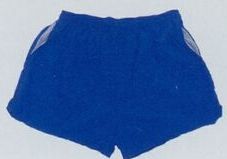 Du Pont Supplex Nylon Shorts (Unlined)