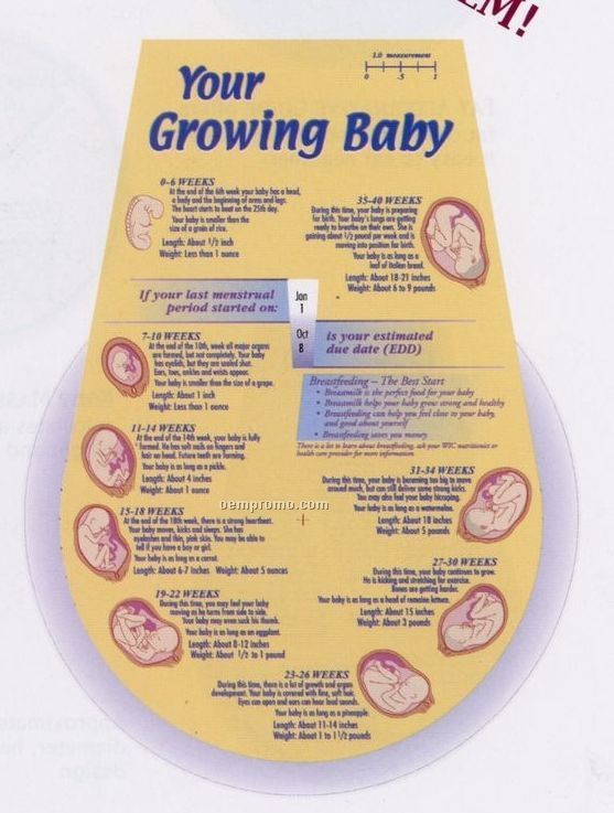 Pregnancy Guide Wheel - Your Growing Baby