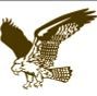 Stock Flying Hawk Mascot Chenille Patch