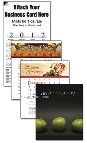 2011 Apple Cover 13 Month Multi-purpose Calendar