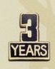 Stock Emblem Lapel Pin / 3 Years