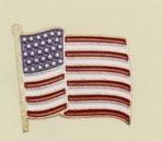 Stock Emblem Lapel Pin / Waving United States Flag
