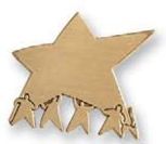 Carry A Star Die-struck Teamwork Emblem Pin