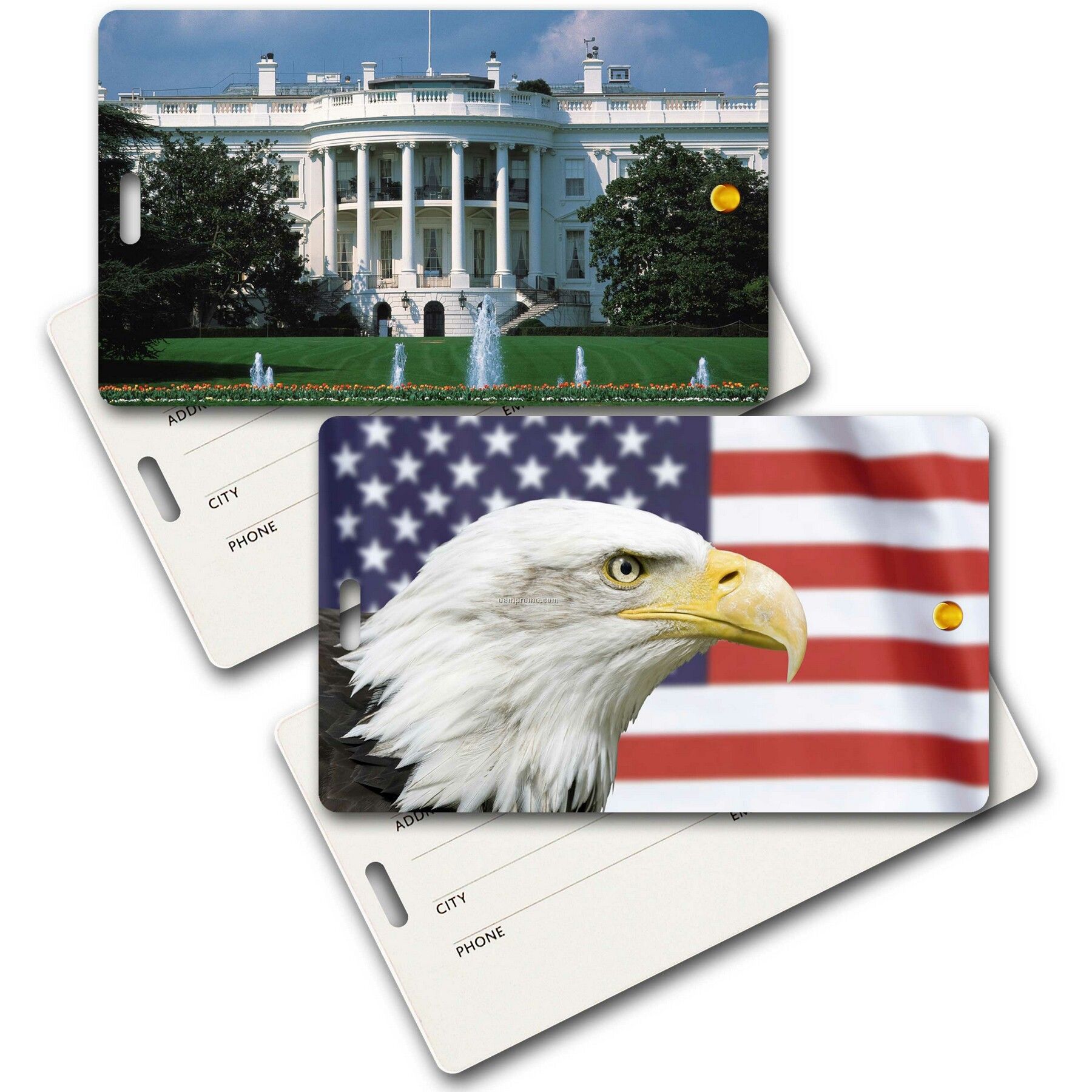 Privacy Tag W/3d Lenticular Images Of The White House (Blanks)