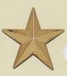 Stock Emblem Lapel Pin - 5 Point Star