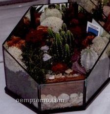 Cactus Greenhouses - 7"X5"X6"