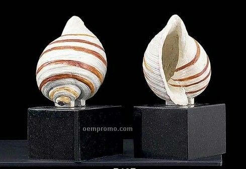 Finished Metal Sea Shells On Marble Bookends