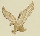 Stock Emblem Lapel Pin - Eagle