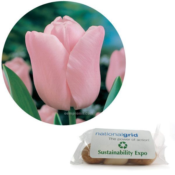 5 Tulip Bulbs In A Poly Bag With Custom 4-color Label