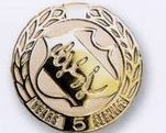 Deluxe Die-struck High-polished Pin Back Emblem W/Color Fill