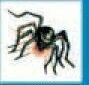 Holidays Stock Temporary Tattoo - Long Legged Spider (1.5"X1.5")