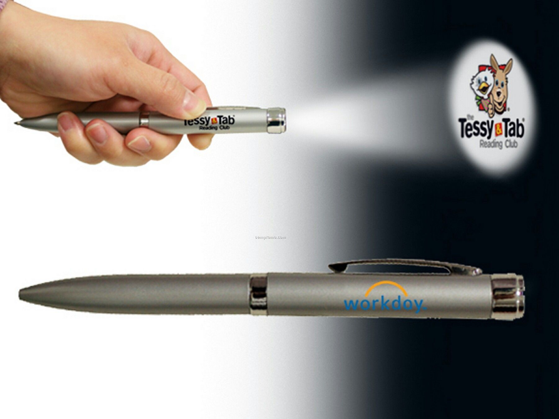 Silver Projector Pen (6-7 Week Delivery)