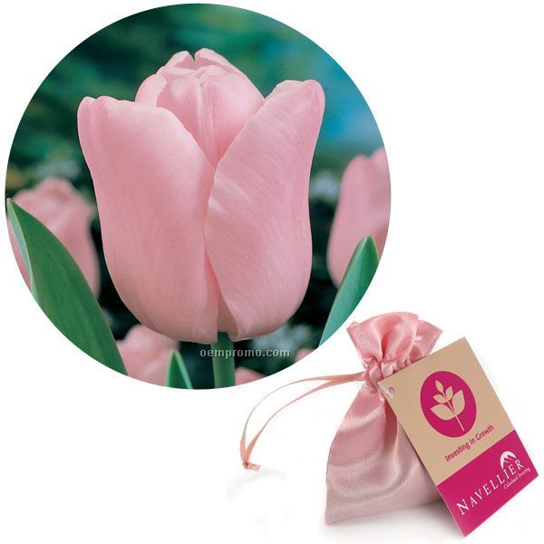 Single Pink Tulip Bulb In A Satin Bag With Custom 4-color Hang Tag