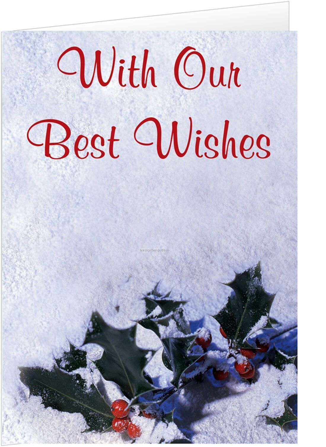 Holly In Snow Holiday Greeting Card