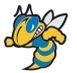 Stock Flying Hornet Mascot Chenille Patch