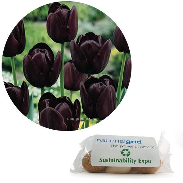 Single Tulip Bulb In A Poly Bag With Custom 4-color Label