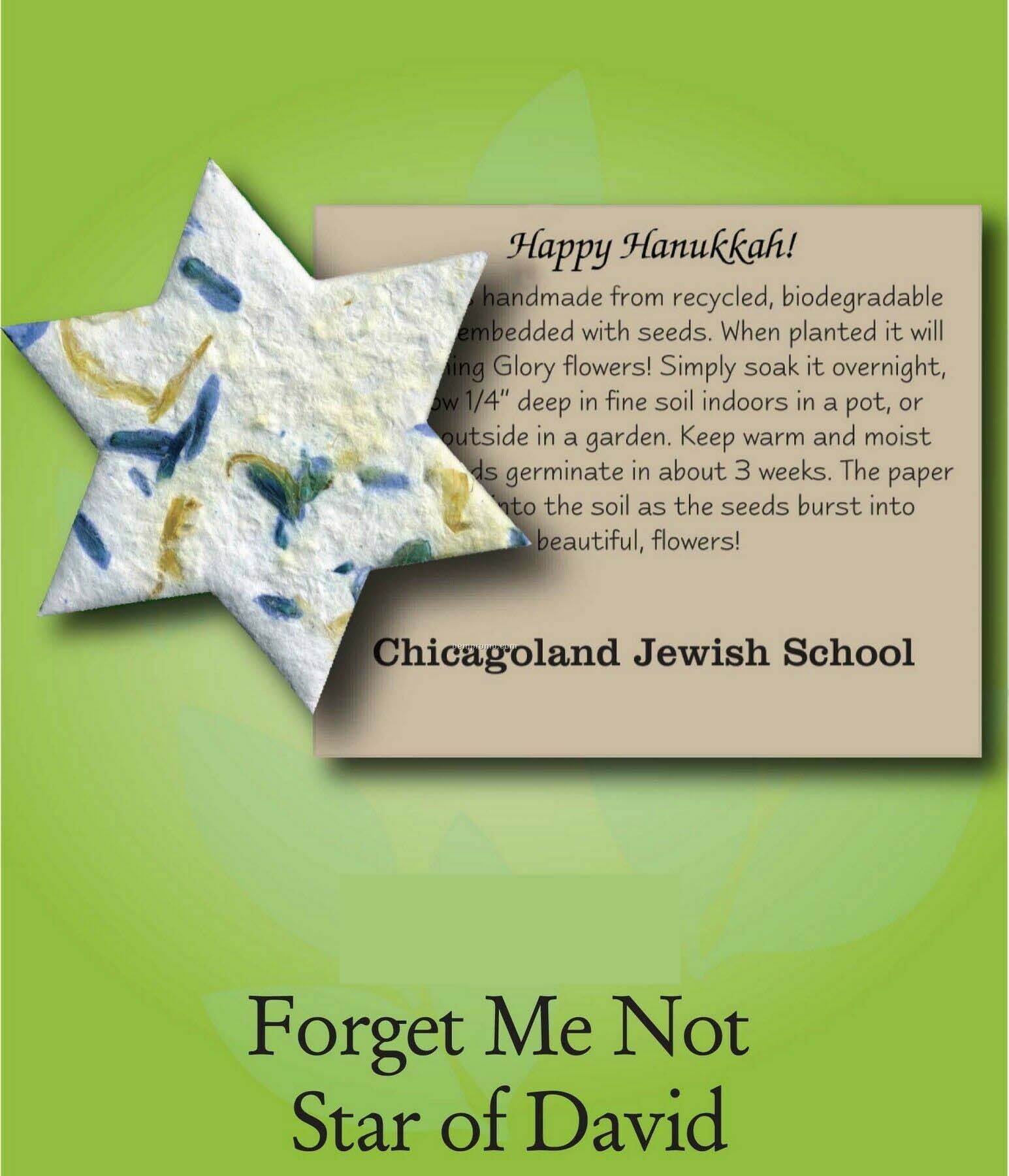 Forget Me Not Star Of David Ornament With Embedded Seed