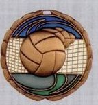 Stock Cem Medal - Volleyball