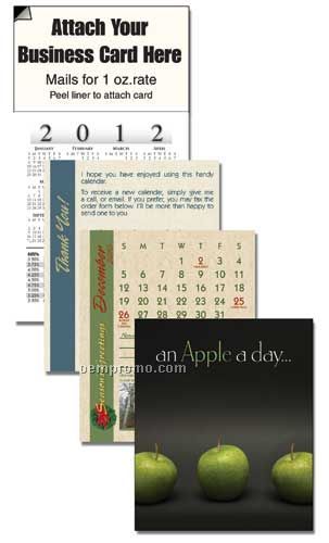 2011 Apple Cover 13 Month Realtor Calendar