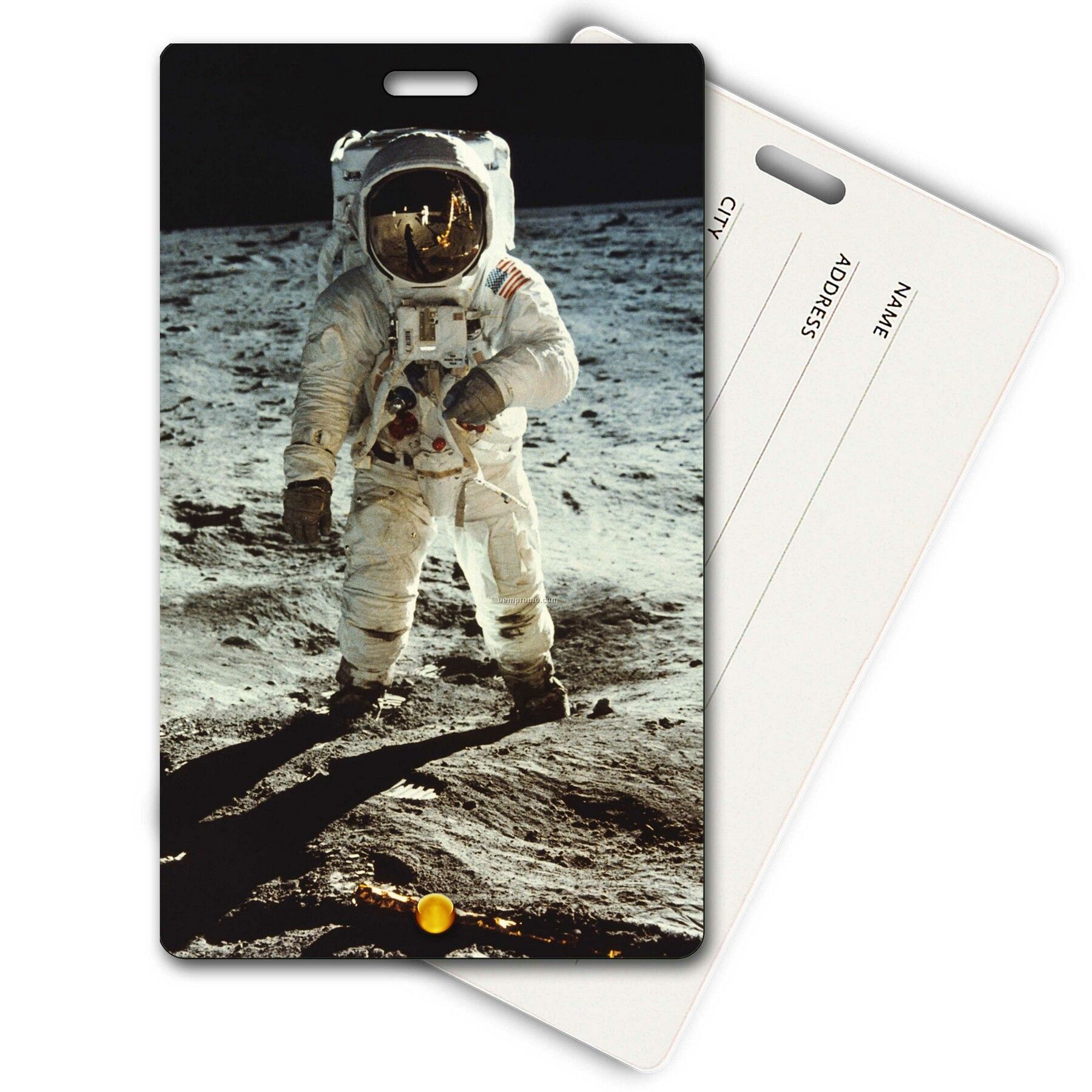 Privacy Tag W/3d Lenticular Images Of Astronaut On The Moon (Blanks)