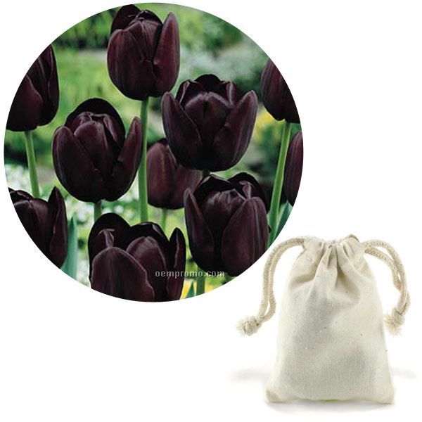 Single Tulip Bulb In A Natural Cotton Bag With Custom 4-color Hang Tag