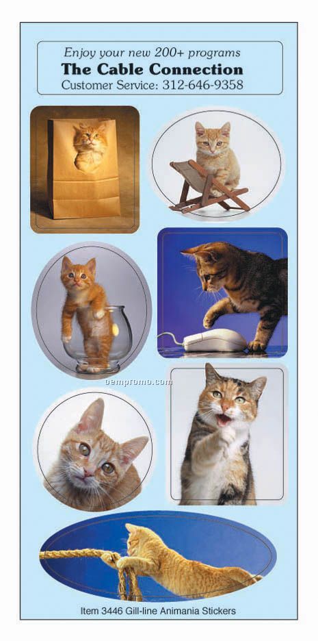 Animania Cat Sticker Sheet