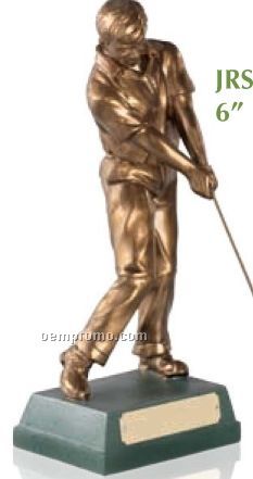 Address The Ball Swatkins Signature Collection Male Golfer Award / 6"
