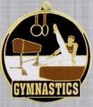 2" Color-filled Stock Medal - Male Gymnastics