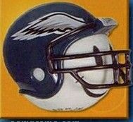 Coolballs Deluxe Nfl Antenna Ball