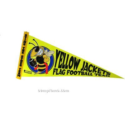 Small Color Pennants