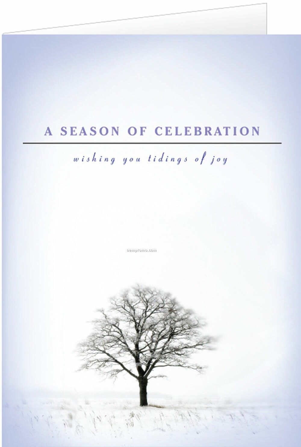 Season Of Celebration Holiday Greeting Card