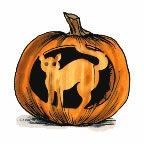 Holidays Stock Temporary Tattoo - Pumpkin W/ Carved Out Cat (1.5"X1.5")