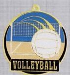 2" Color-filled Stock Medal - Volleyball