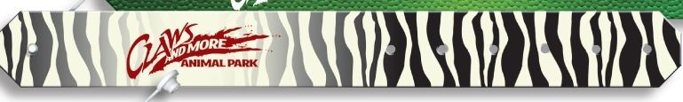 Promoband W/ Permanent Locking Snap - Zebra Stripes