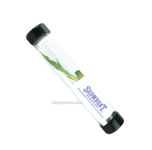 Lucky Bamboo Shoot In Clear Tube (4