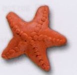Star Fish Stock Shape Eraser