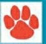 Sport/ Mascot Temporary Tattoo - Red 4 Toed Paw Print (1.5