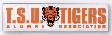 Rectangle Vinyl Removable Car Sticker W/ Static Cling Face (3"X11 1/2")