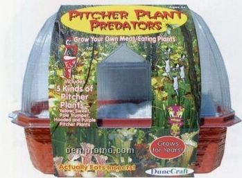 Pitcher Plant Predators Greenhouse