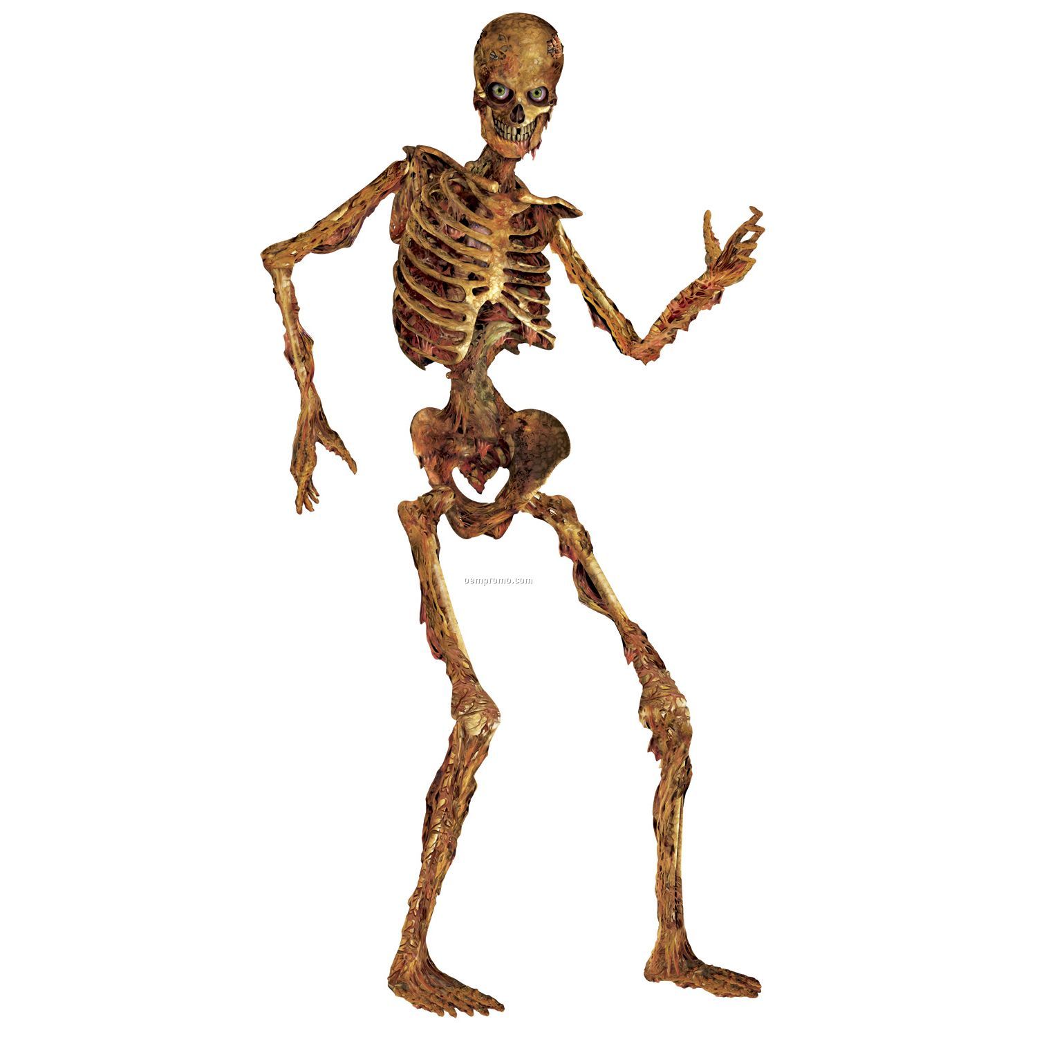 Jointed Skeleton Figure