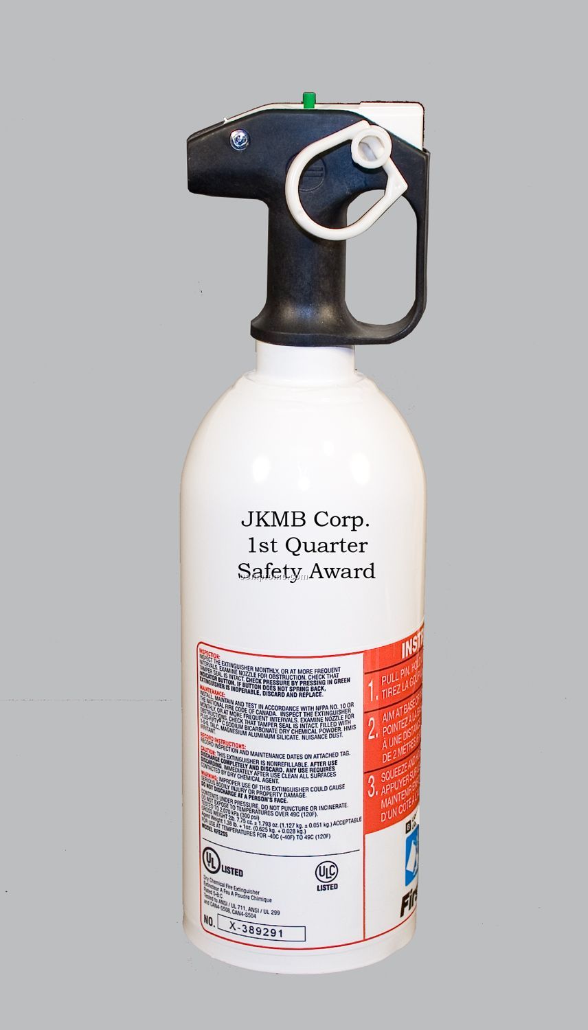 Dry Chemical Fire Extinguisher - 2bc Rating