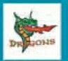 Sport/ Mascot Stock Temporary Tattoo - Dragons (1.5"X1.5")