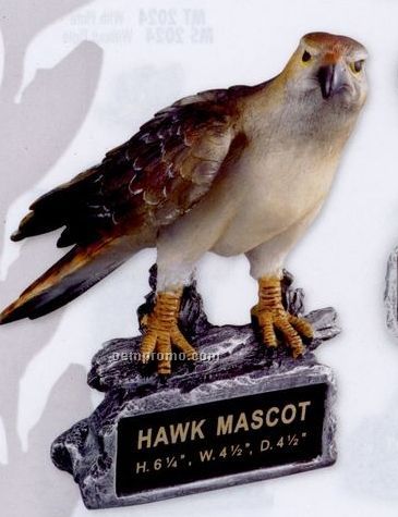 Hawk School Mascot
