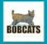 Sport/ Mascot Stock Temporary Tattoo - Bobcats (1.5"X1.5")